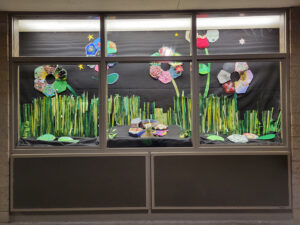 Display Case